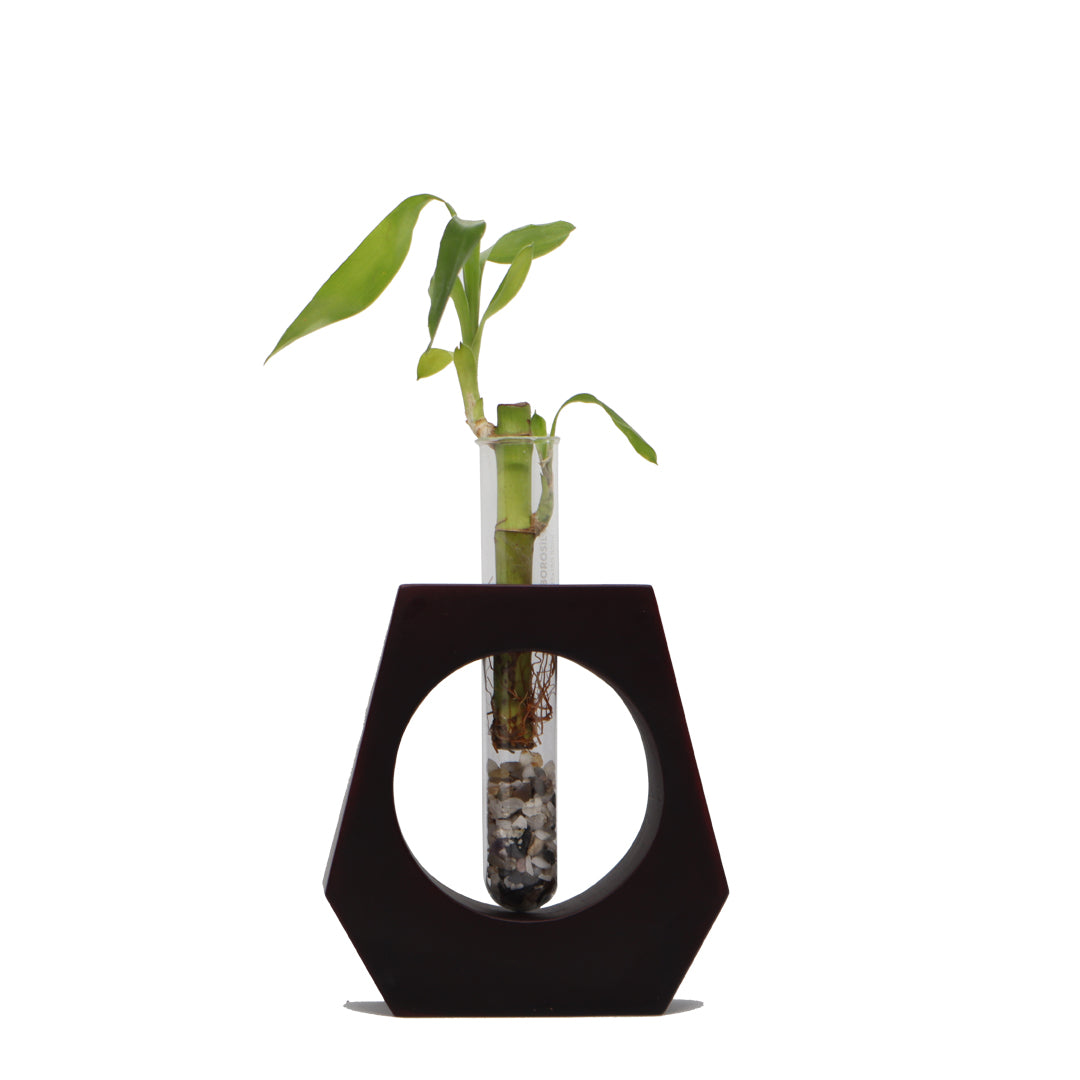 Wooden Test Tube Planter