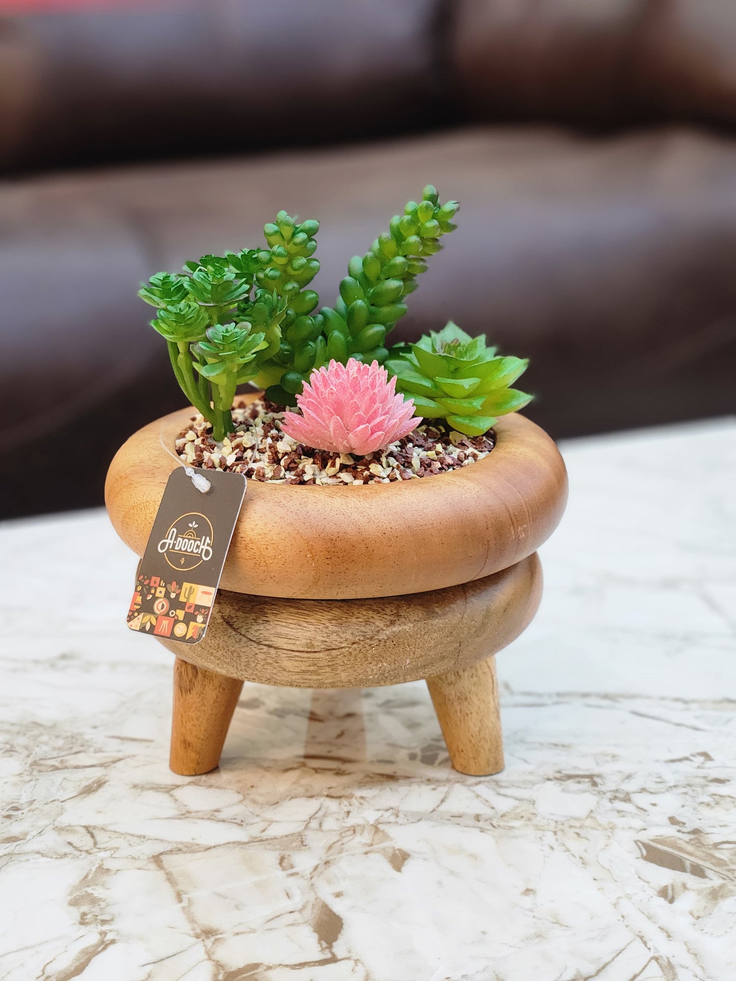 Wooden Potted Cactus & Succulents Plant