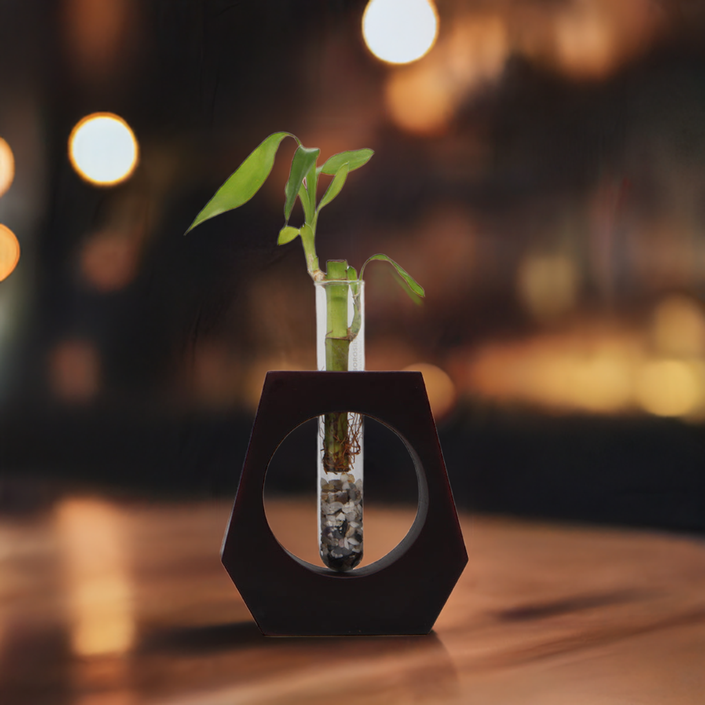 Test Tube Planter